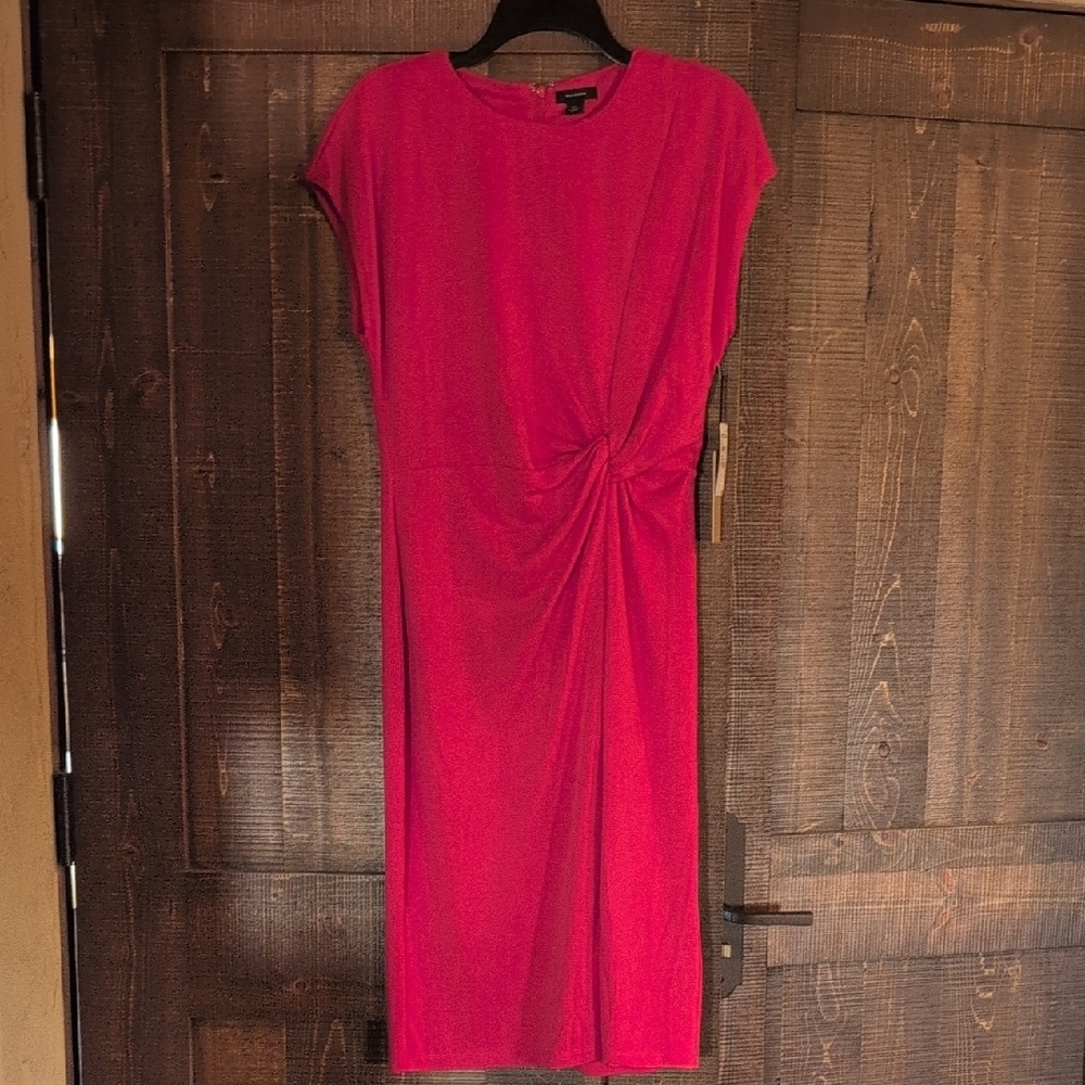 Halogen Elegant Pink Dress